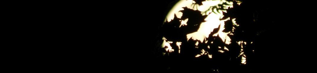 MotherSloth: firmato il contratto discografico con Argonauta Records