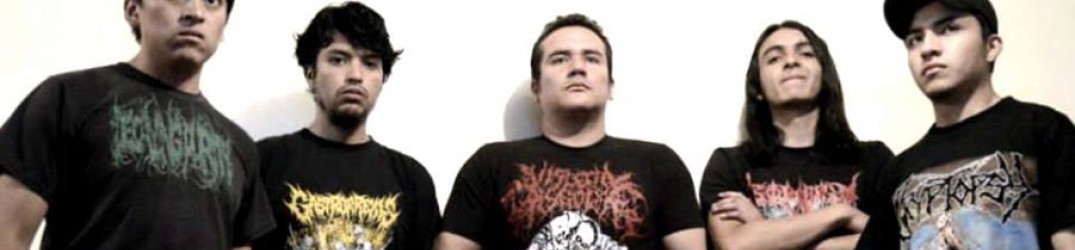 Visceral Decay: nuovo disco in lavorazione