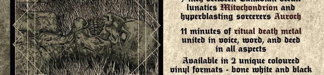 Auroch: dettagli del nuovo album
