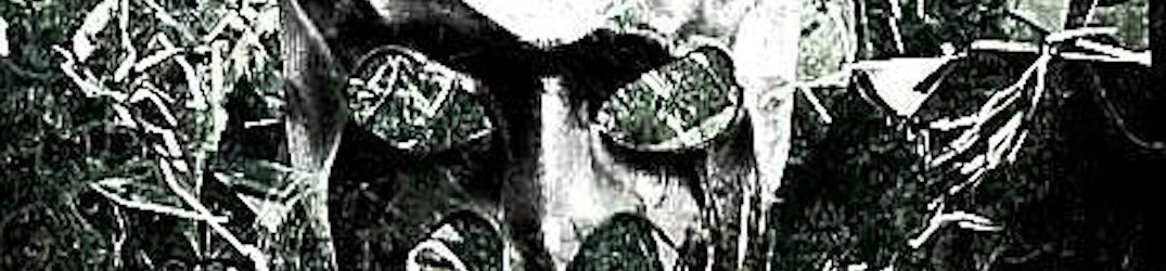 Final Solution: firmano per la Logic(il)logic Records
