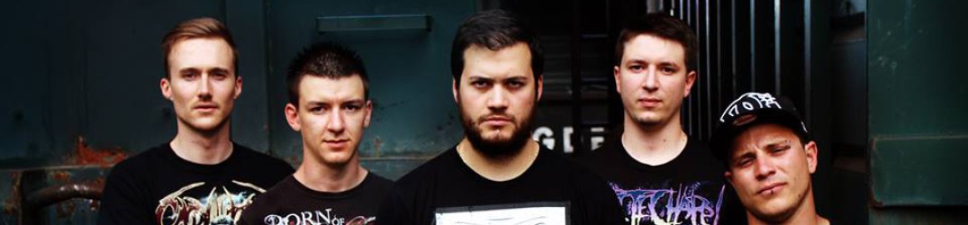 Hybrid Sheep: online in streaming la song ‘Hail to the Beast’