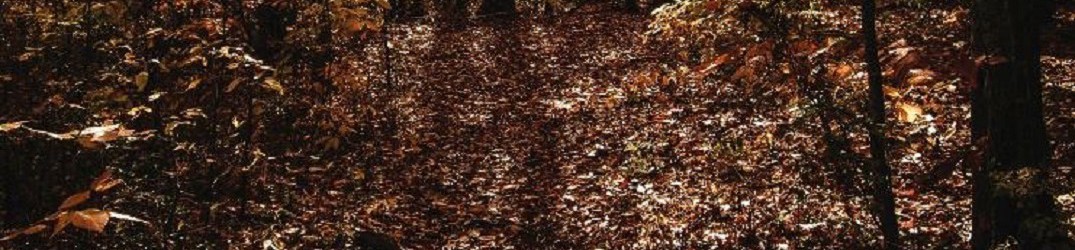 Noltem: ascolta in streaming completo “Mannaz” EP