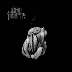 Iliac Thorns: tracklist e copertina di ‘IT’