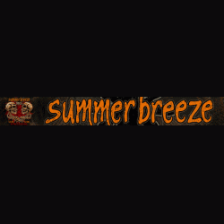 Summer Breeze Open Air 2013: tutti i dettagli
