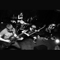 The Hysteria: in streaming il video di ‘Black Cat wailing at the moon’