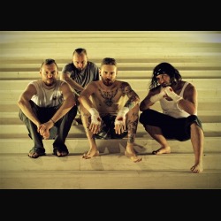 The Shell Collector: EP scaricabile gratuitamente e release party