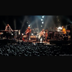 Transatlantic: nel 2014 tornano in Italia