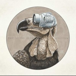 Protest The Hero: in uscita il nuovo album “Volition”