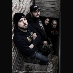 Merendine: pubblicato il video di “Stand Up And Fight”