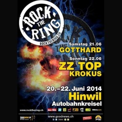 Rock The Ring 2014: prime conferme per il festival svizzero