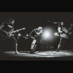 Philip H. Anselmo & The Illegals: online il video di “Ugly Mug”