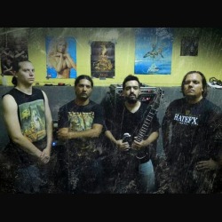 Warchest: annunciato il nuovo chitarrista