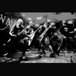 Crisalide: special guest nel nuovo full-length?