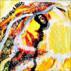 California Breed: il videoclip di ‘The Way’