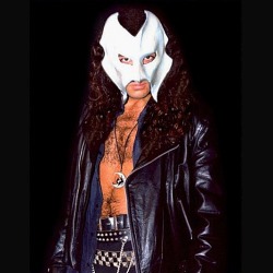 Wild Steel: scomparsa la storica maschera