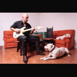 Luca Zamberlin: nuovo album con Alex Masi e altri