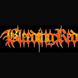 Bleeding Red: al lavoro sul nuovo album