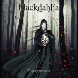 Blackdahlia: aggiornamenti dalla band