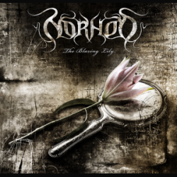 Norhod: aggiornamenti dalla band