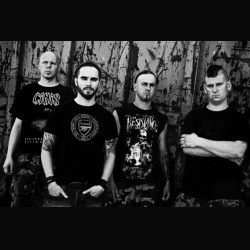 Calm Hatchery: terzo album in arrivo