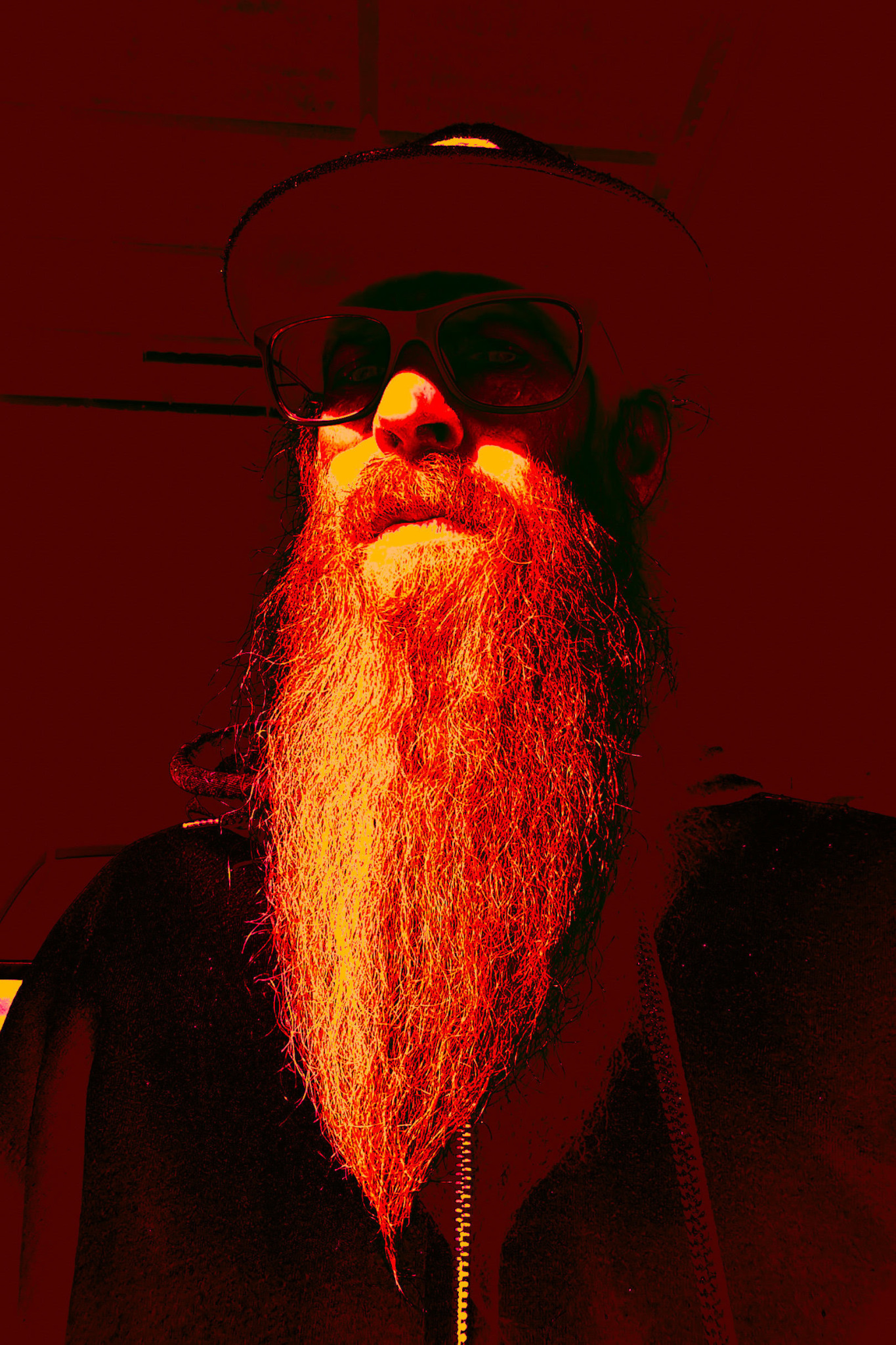 red bear band