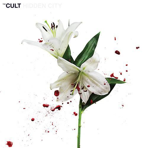 TheCultHiddenCity