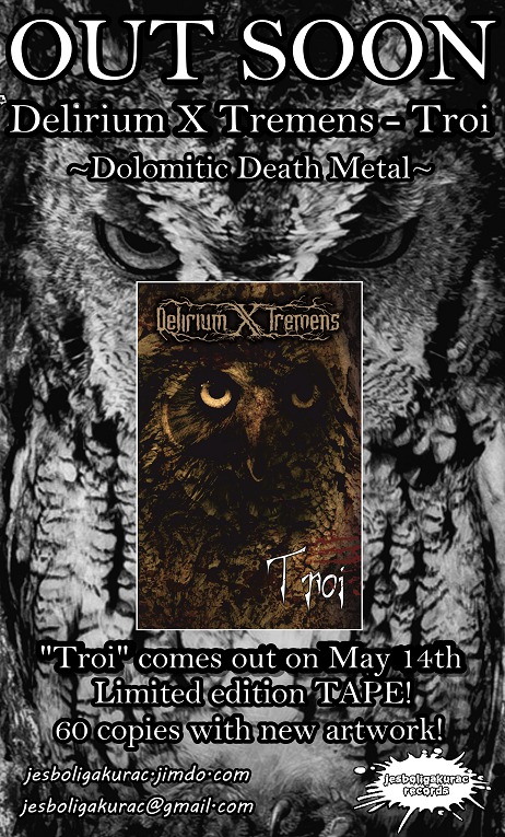 dxt flyer
