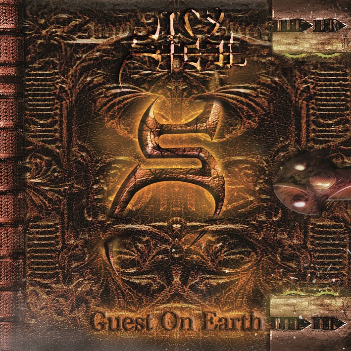 guest on earth artwork 2018 web