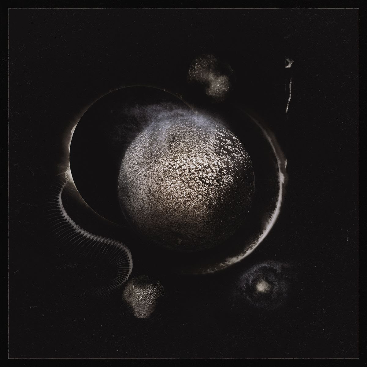 unnamed