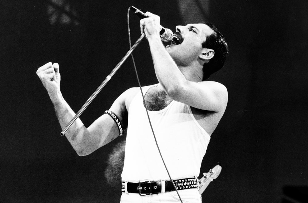 Freddie Mercury 1000x661