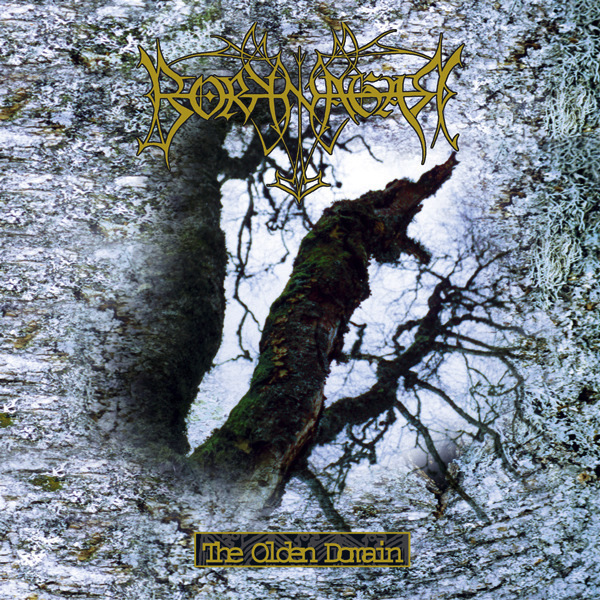 Borknagar The Olden Domain P18R