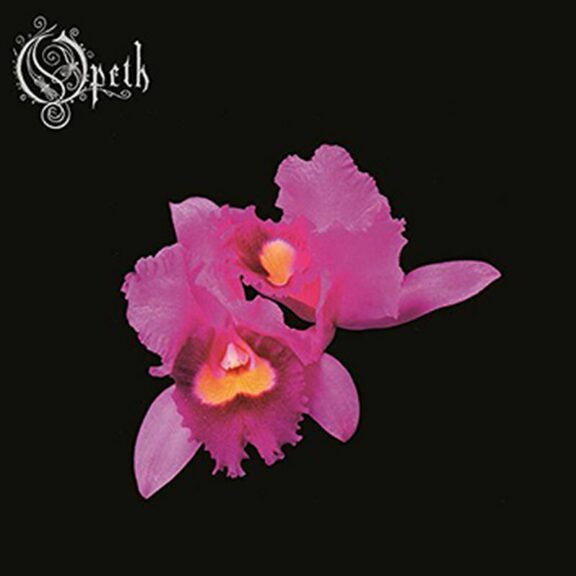 Orchid