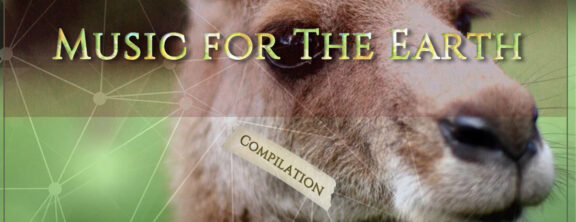 Vault Lab, Impatto Rock: la compilation “Music for the Earth” per raccogliere fondi da donare in beneficenza