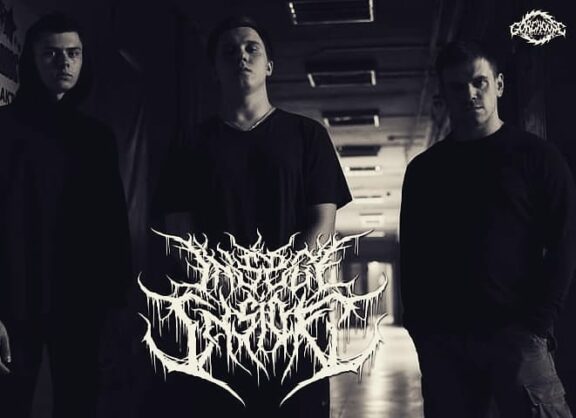 Insect Inside: a febbraio ‘The First Shining Of New Genus’, l’album di debutto
