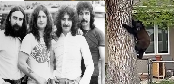 Black Sabbath: la loro musica utilizzata dai ranger di un parco per recuperare un orso