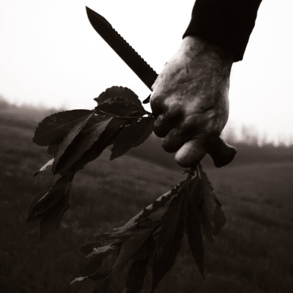 Fanciulli d’occidente