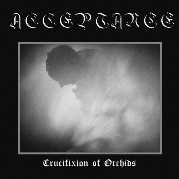 Crucifixion of Orchids