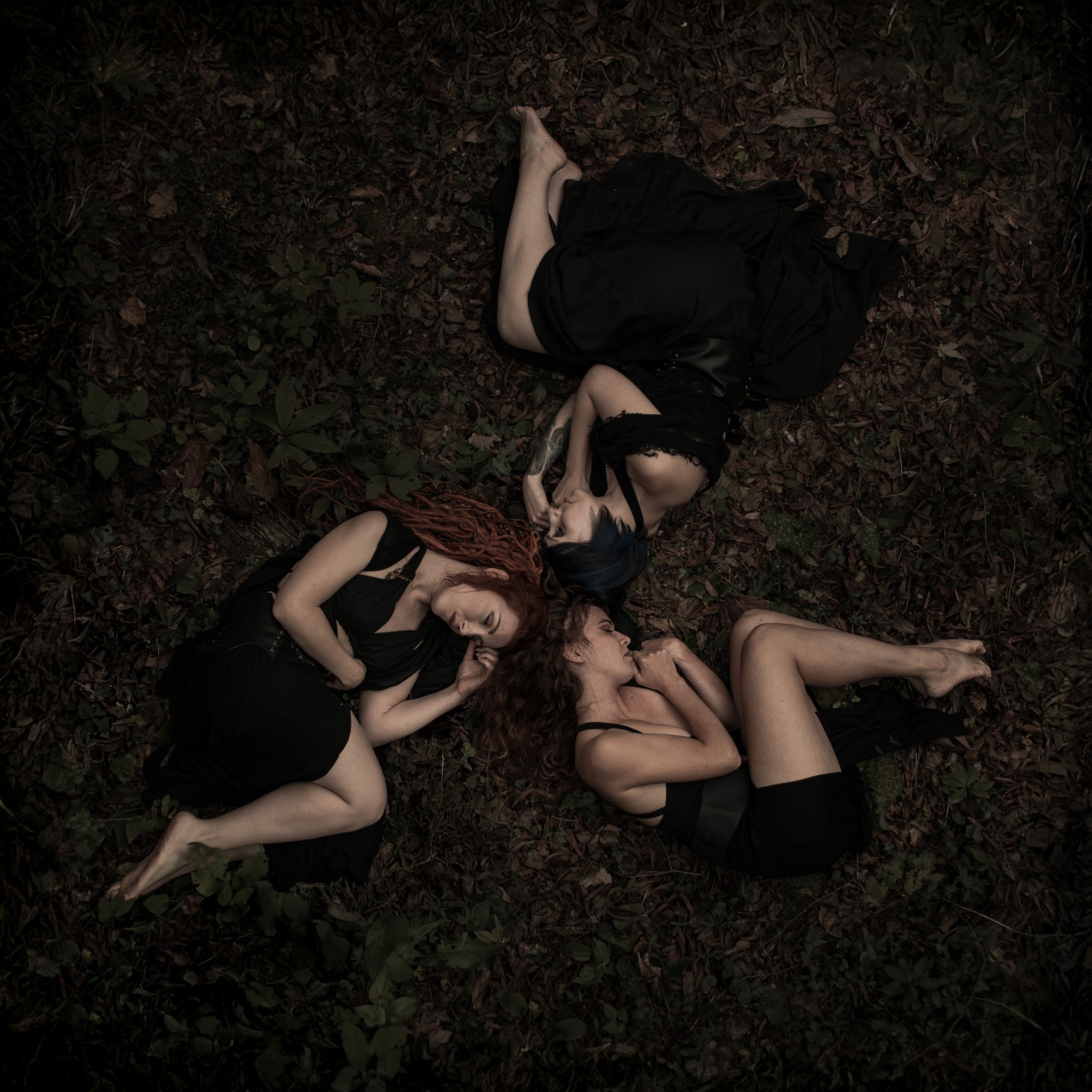 artwork del singolo E gremio Terrae