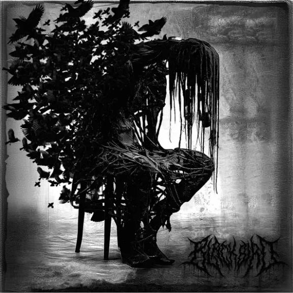 Blackbird: nuovo singolo e music-video “My Light Is Dying Inside”