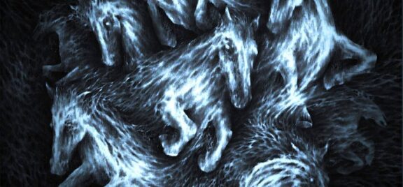 FINNR: uscito il debut-album omonimo